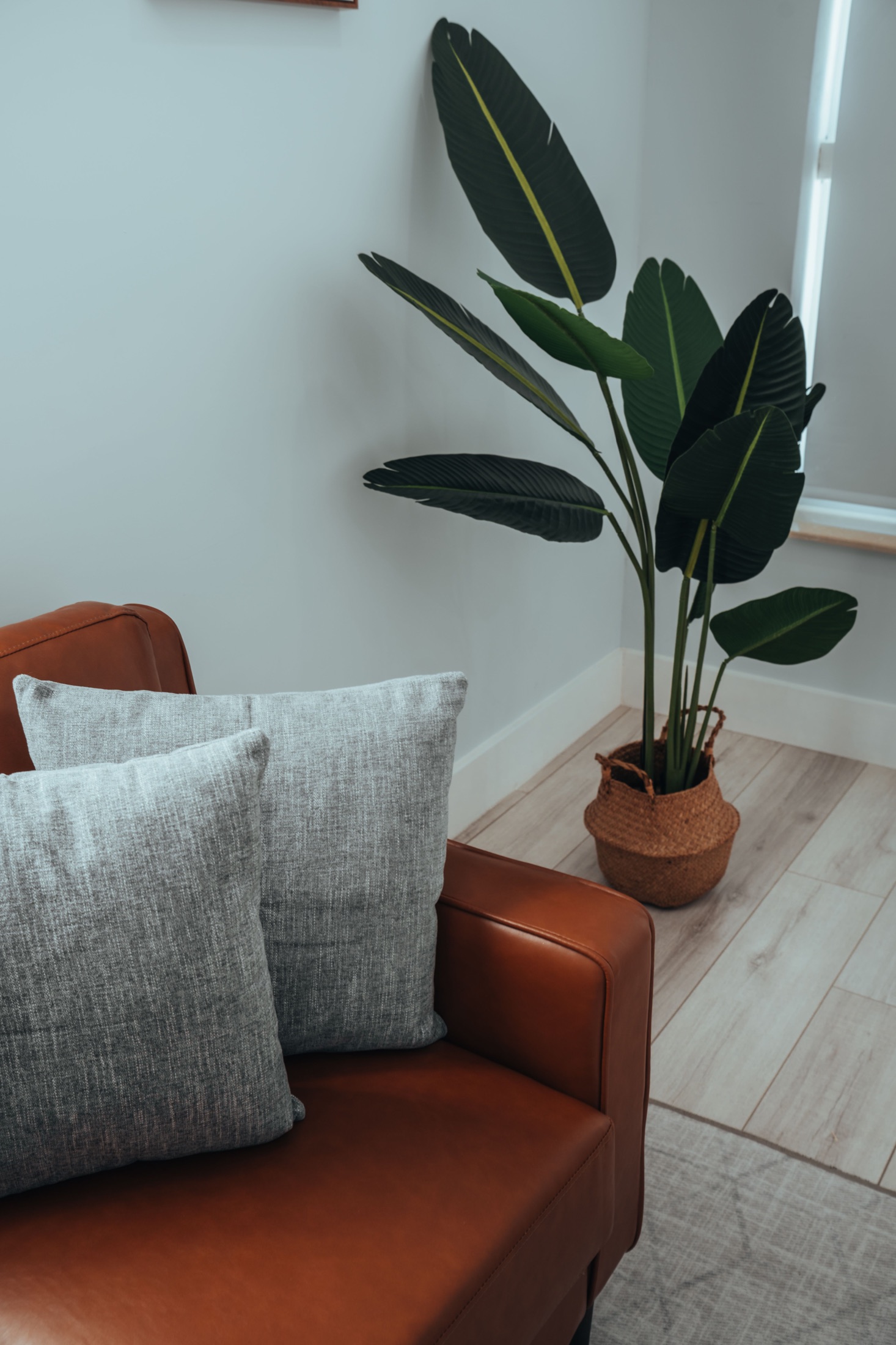 A quiet counseling chair beside a green plant