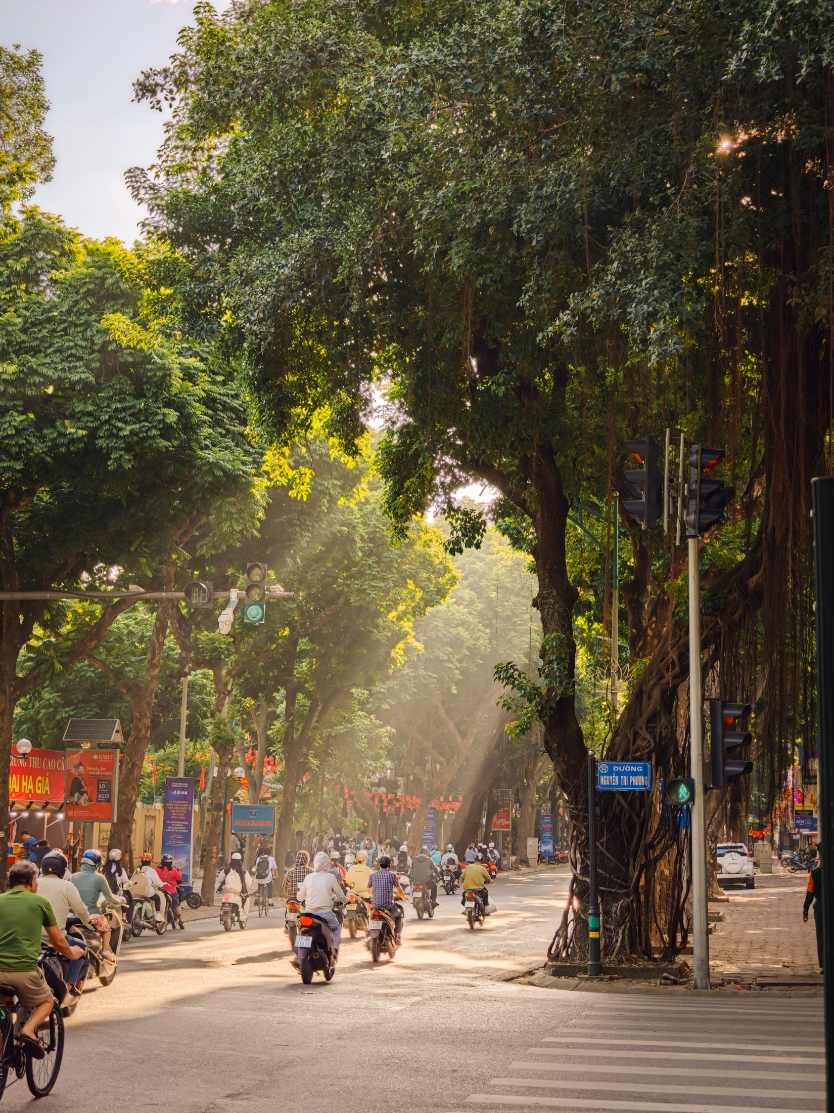 A tree-lined city street in East Asia filled with daily life